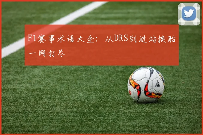 F1赛事术语大全:从DRS到进站换胎一网打尽