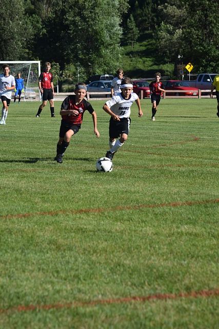 竞技心态的 竞技心态的