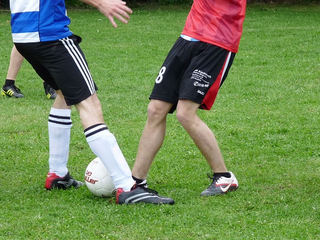 极的舆情监 极的舆情监